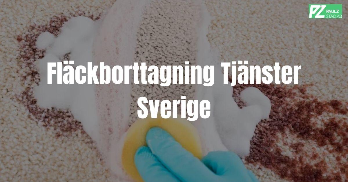 Fläckborttagning Tjänster Sverige