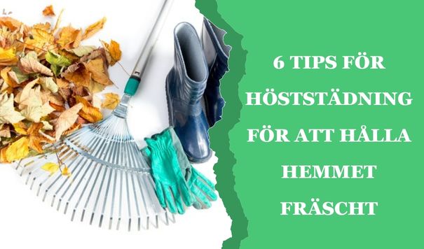 6 tips för höststädning
