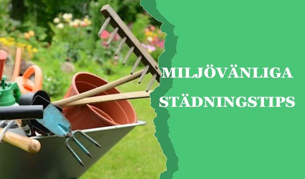 miljövänlig Rengöringstips
