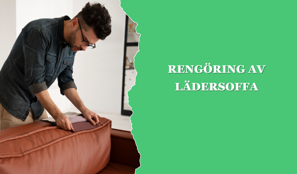 Rengöring av lädersoffa - Paulz