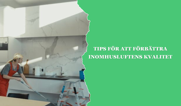 Tips för att förbättra inomhusluftens kvalitet