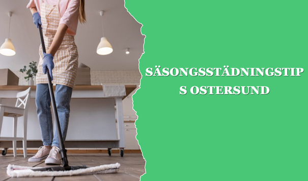 städa ditt vardagsrum - Paulz