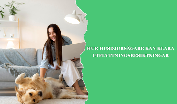 Flytt- och städfirma - Paulz Städ AB